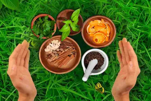 Best Ayurvedic Doctor in Narayangaon | Ashtang Ayurved Hospital