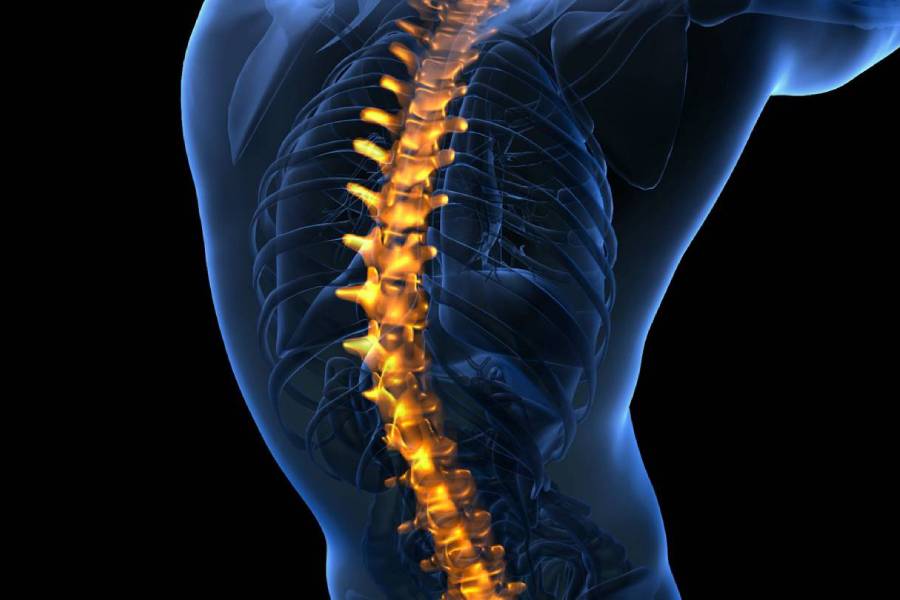 Ayurvedic Spine Disease Treatment in Pune by Dr. Amit Kashid at Ashtang Ayurved Hospital